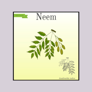 Neem Leaf Spray
